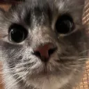 b_lu