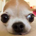 mxmarz