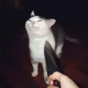 yakinator2567