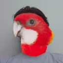 cwfitz
