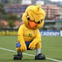 joaojoao