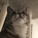 Discord Avatar