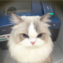 avatar rayaistired24/7