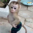 dylanflame