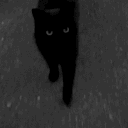 avatar 𝖢𝗁𝖺𝗇𝗂