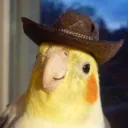aharohimself