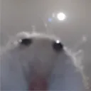 amaruvt
