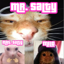 botmrsalty