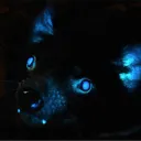 tazzydevil