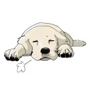motidog