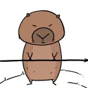 wanderwombat