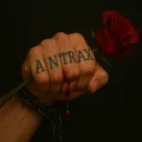 a_n_t_r_a_x