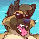 ronraccoon