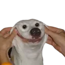.bne