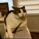 avatar ʕ • ㉨•ʔ