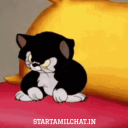 Discord Avatar