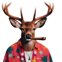devenison