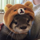 h0lybanana#9934's avatar