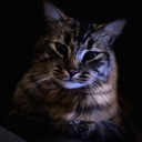 ladenraies#4484's avatar