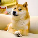 kantoku.m