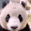 avatar mrkanisterkopp