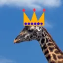 giraffenkaiser