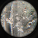 avatar Hunter Bonneau