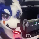 foxxy_rl