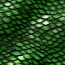 snakettv3