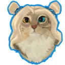 kitka_kuraw