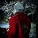 rysstm