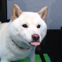 rikumendez