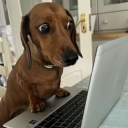 avatar caτasτrophíx 👼🏽