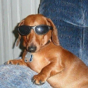 avatar caτasτrophíx 👼🏽