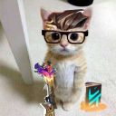 avatar caτasτrophíx 👼🏽