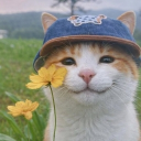 avatar caτasτrophíx 👼🏽