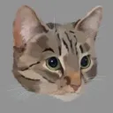 benny789