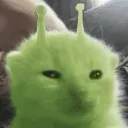 pfp