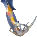 zaptheshark