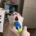 avatar BabyBelleCheese