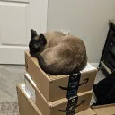karim_k