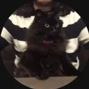 torriejones