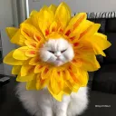 spellicious