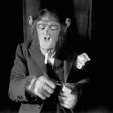 avatar SmokingRapeApe