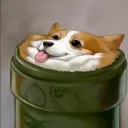testmir