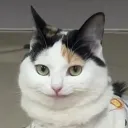 mordora