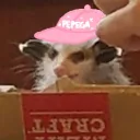 minidorka