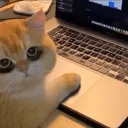 r1ckdev