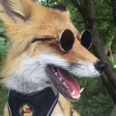 fox062166