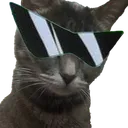 zetshun